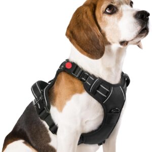 Harnais chien rabbitgoo anti-traction réglable noir