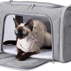 Sac de transport pour chat/chien Amazon Basics - Pliable & homologué avion