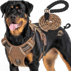 Harnais tactique robuste Haapaw XL - Anti-traction & Réfléchissant
