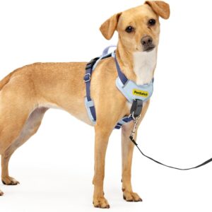 Harnais Easy Walk PetSafe XS Bleu - Anti-Traction