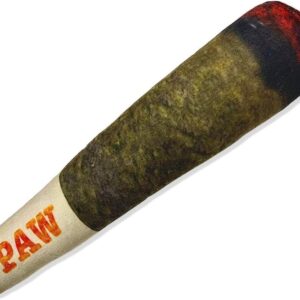 Jouet Doggy Doobie pour chien – Peluche couineuse