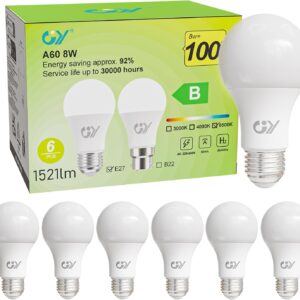 Ampoule LED E27 8W GY, 1521lm blanc froid 6500K