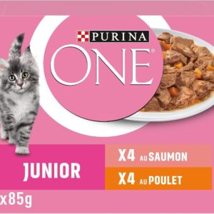 PURINA ONE Junior Effilés Sauce Saumon-Poulet 5x85g