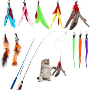 Hianjoo Jouet à Plumes pour Chat [12 PCS] - Baguettes rétractables