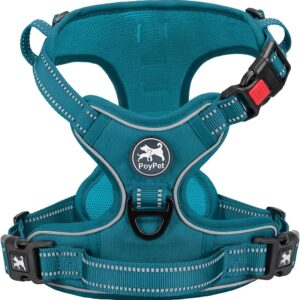 Harnais PoyPet sans traction Bleu Sarcelle - Taille S