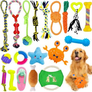 Jeu complet 19 jouets pour chien HEPAZ