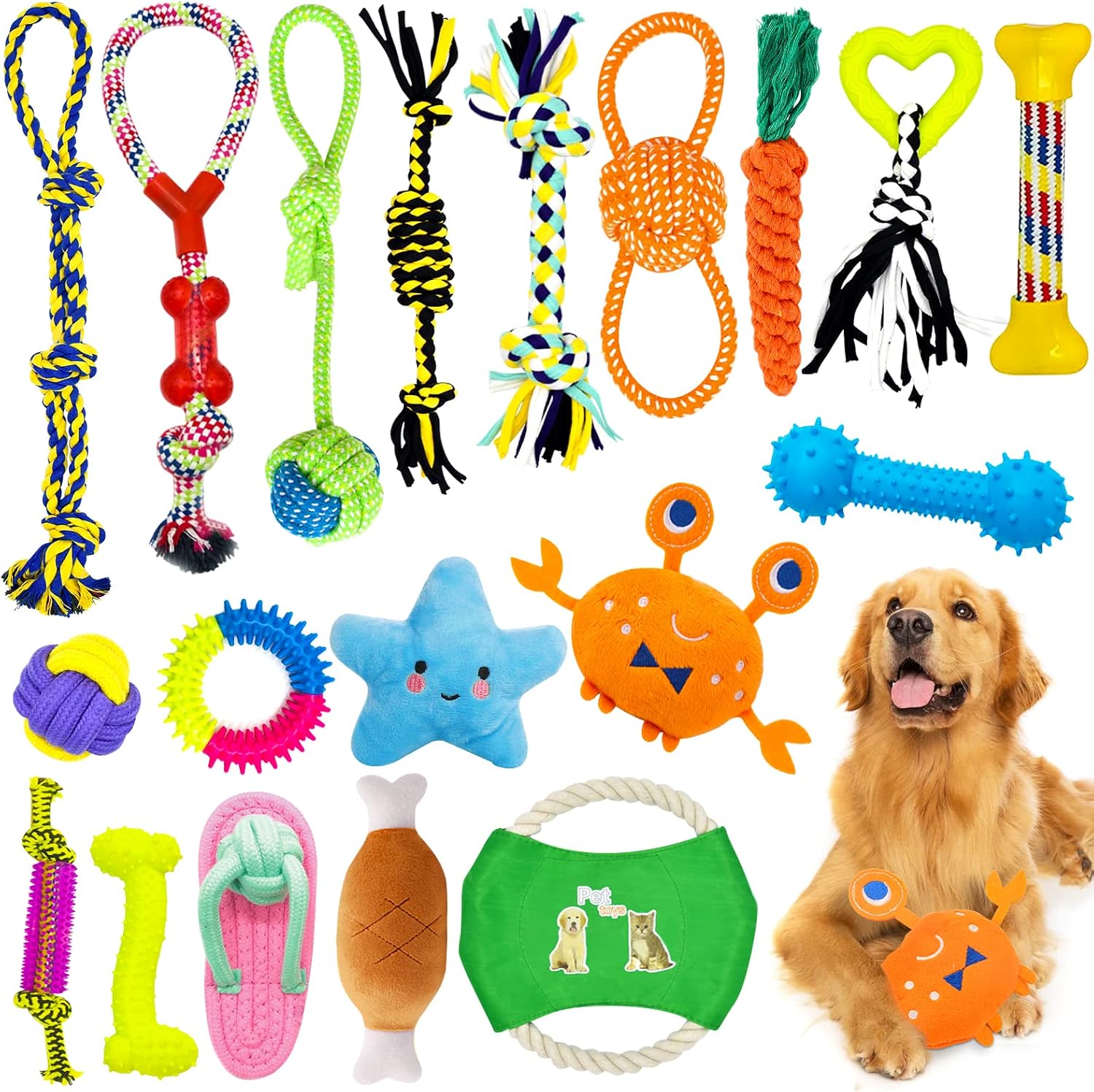 Jeu complet 19 jouets pour chien HEPAZ