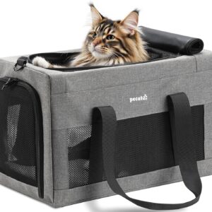 Sac transport chat XL Pecute – Cadre stable pliable