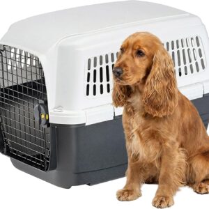 Ferplast Cage Transport Chien Clipper 4 - IATA Voiture Avion