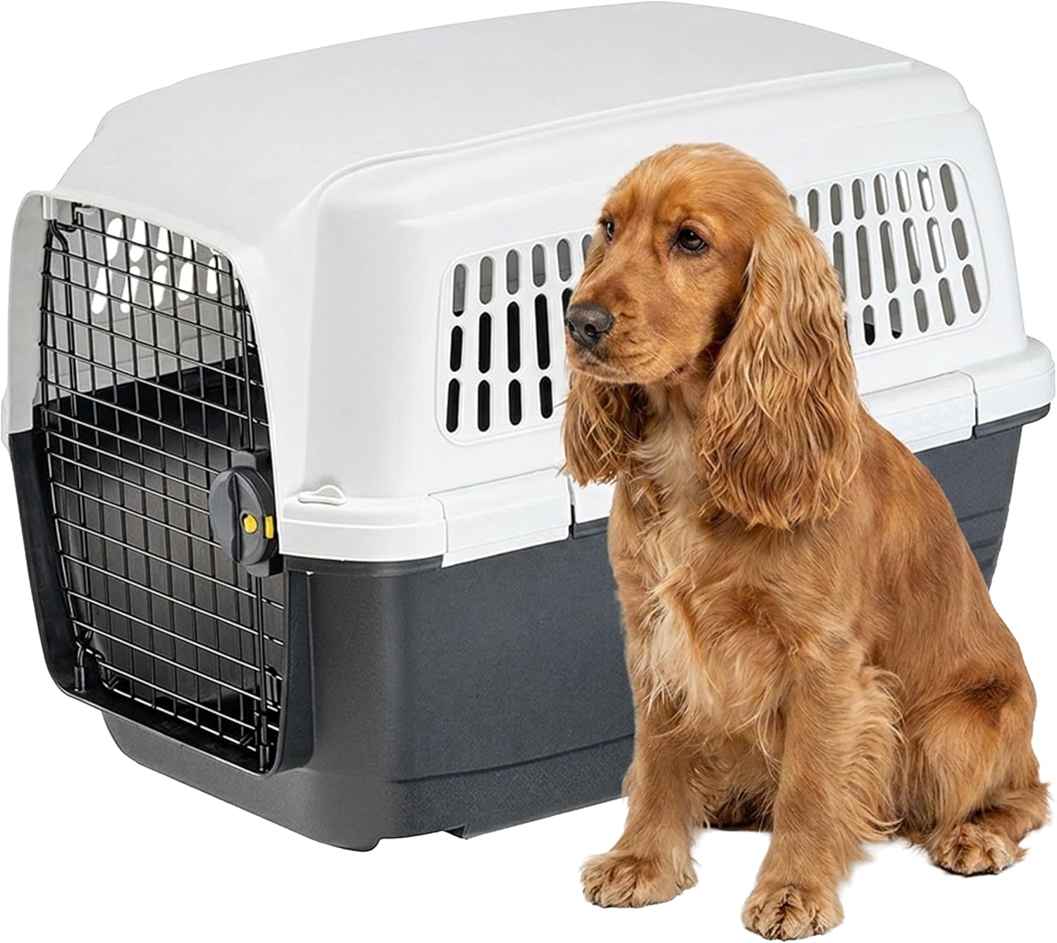 Ferplast Cage Transport Chien Clipper 4 - IATA Voiture Avion