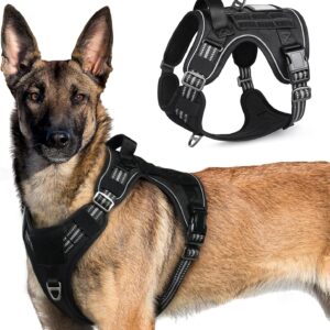 Harnais Anti Traction rabbitgoo pour Chien XL Noir