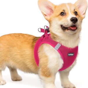 Harnais rabbitgoo® pour chien petit taille rose L