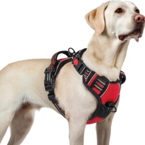 Harnais chien anti-traction rabbitgoo rouge L