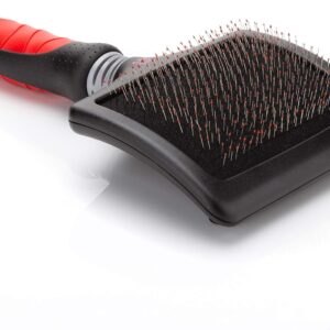 Mikki Brosse Carde Nifty XXL pour Chien