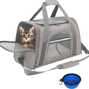 Sac Transport Chat Respirant Pliable avec Matelas