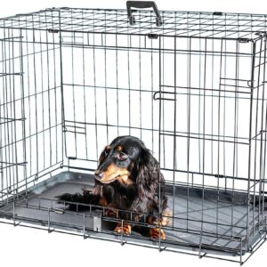 Cage chien FortressooM Paitsy 75x47x54cm