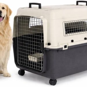 Cage Transport Chien Flamingo Fomad XL Gris - Robuste & Sécurisée