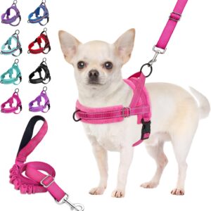 SlowTon Harnais & Laisse pour Petit Chien, Sans Tirage