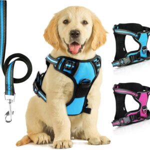 Harnais anti-traction pour chien SIBOTER, bleu, taille M