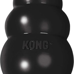 KONG Extreme - Jouet ultra-résistant pour chiens puissants