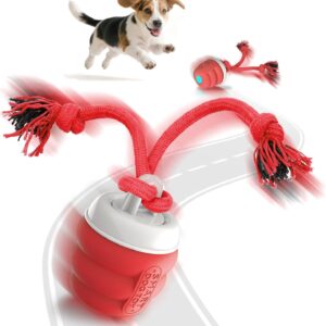 Balle interactive chien FUGODIWI – Jouet autonome rechargeable