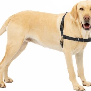 Harnais Easy Walk anti-traction PetSafe Taille M