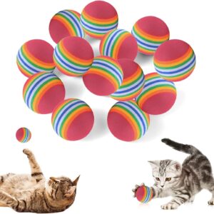 24 Balles Arc-en-Ciel pour Chat en Mousse EVA