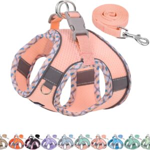 Harnais et laisse AIITLE Rose XXS pour petit chien
