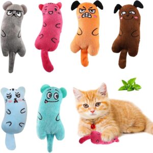 Lot de 6 jouets herbe à chat pour chatons – Cator