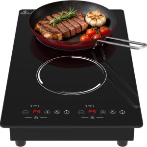 Plaque induction 2 feux 3000W Domino GTKZW encastrable