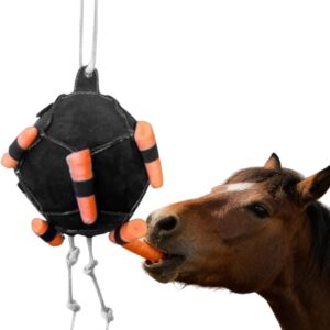 Anti-Ennui Cheval : Distributeur de Friandises & Foin