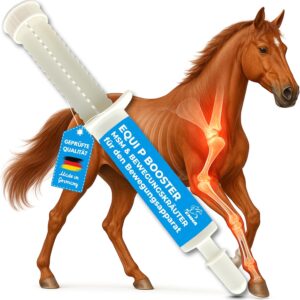 MSM Cheval Pâte articulations - Glucosamine Chondroïtine + Vitamines
