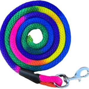 Laisse arc-en-ciel pour cheval 2m – Antirouille Equipride