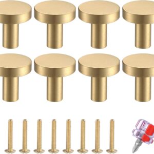 HaoChen 8 Boutons de Porte Laiton Doré 20x23mm