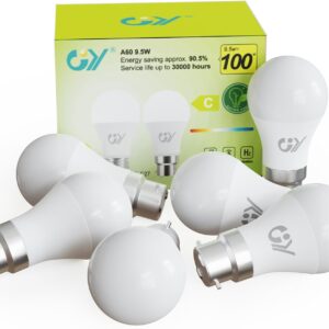 GY Ampoule LED B22 9.5W - Lot de 6