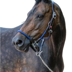 Licol John Whitaker Raywell Cuir & Corde - Mixte