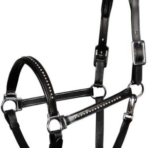 Harry's Horse Licol Cuir Strass Rembourré - Finesse