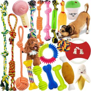 Lot de 19 jouets en corde pour chien MAISITOO