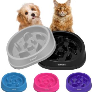 Gamelle anti-glouton YINEYA pour chat & chien - 2 unités