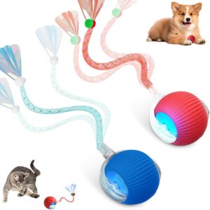 Jouet Chat Interactif Speedy Tail 2.0 - Lot de 2
