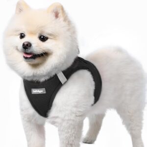 Harnais Chien rabbitgoo Noir S – Léger & Réfléchissant