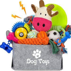 Lot de 21 jouets pour chiot LECHONG - Idéal dès 8 semaines
