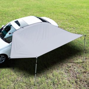 Dulepax Awning 2,5 m Gris - Auvent Voiture SUV