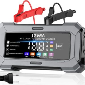 TANYO Chargeur 12V 6A pour Voiture & Moto