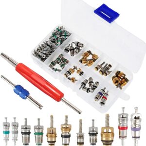 Kit 100 noyaux valve clim R134A + outils Dinhauyon