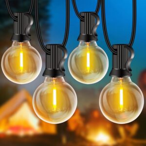 Guirlande LED Extérieure 20M/30M - Rintea 32 Ampoules G40