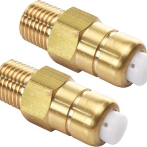 Lot 2 soupapes décharge thermique 1/4" NPT pour pompe HP