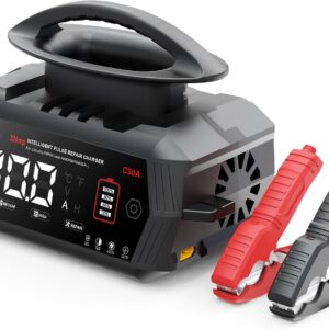Chargeur de batterie 6V/12V/24V 30A Haisito pour tous véhicules