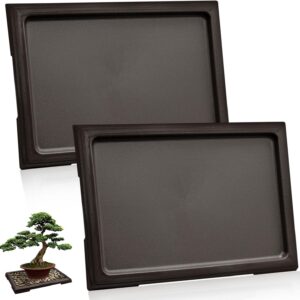 Lot de 2 bacs à bonsaï noir CANIPHA
