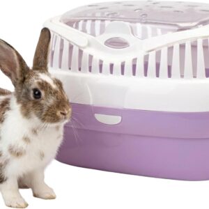 Ferplast Cage Transport ALADINO Large Fuchsia - Animaux